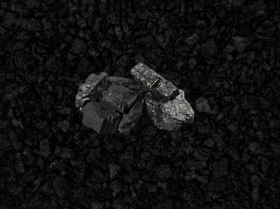 Coal